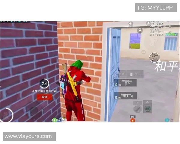 聚焦和平精英：探索WE战队的战术节奏与团队协作之道