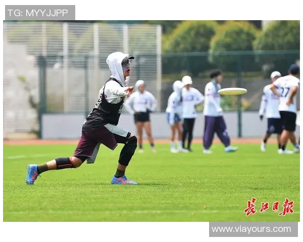 飞盘盛宴：深入了解武汉飞盘队的实力与魅力