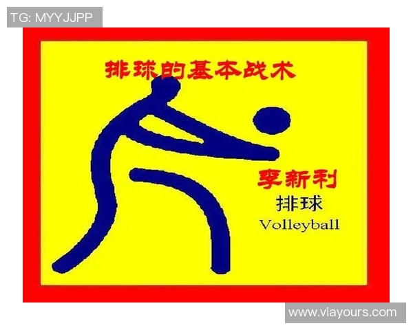 重庆排球队整体压制体系解析与战术创新探讨